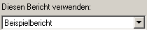 3. Auswahl der Berichtsvorlage